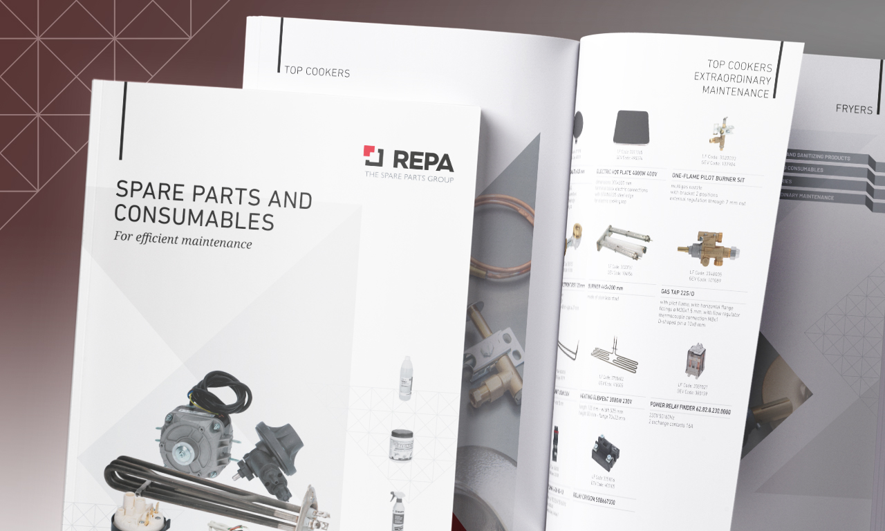 Manutenzione efficiente con REPA